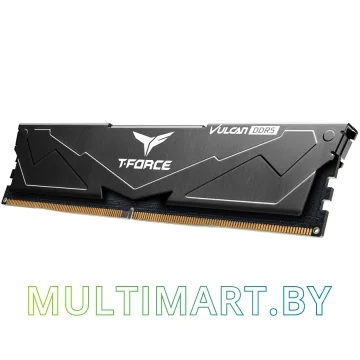 Оперативная память Team T-Force Vulcan 2x8GB DDR5 PC5-48000 (FLBD516G6000HC38ADC01) картинка 3